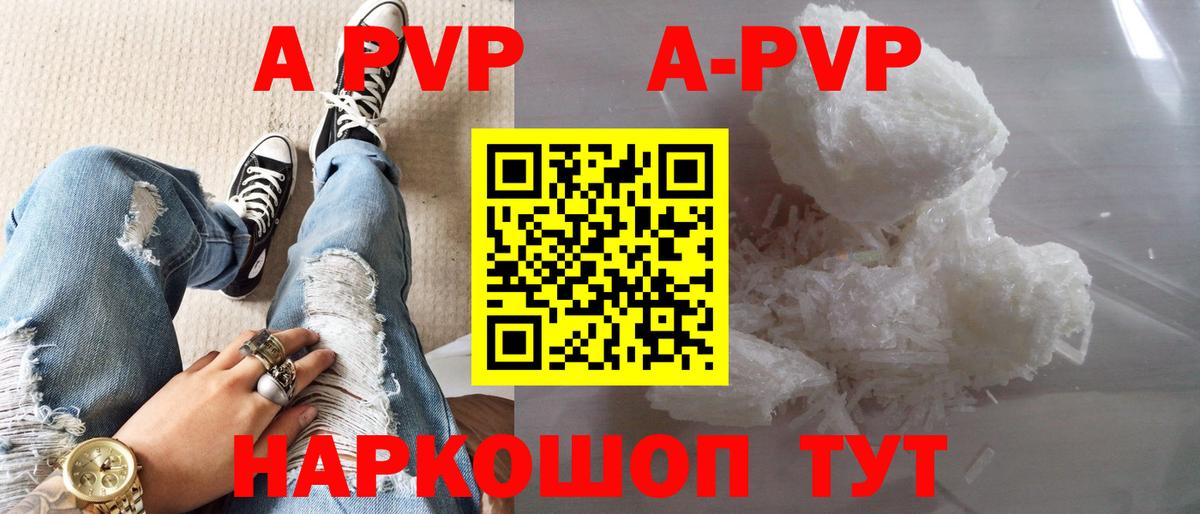 A PVP СК КРИС Новотроицк