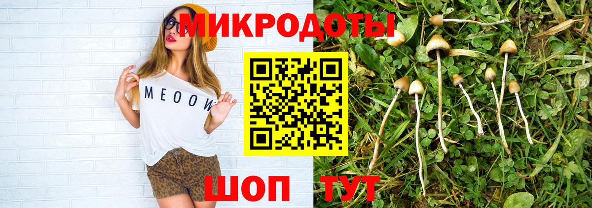 Псилоцибиновые грибы мицелий  Вход с VPN  Галлюциногенные грибы мицелий  Новотроицк 