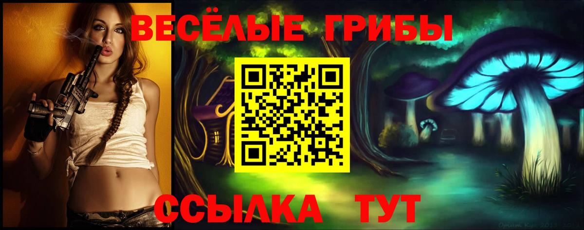 Галлюциногенные грибы прущие грибы Новотроицк